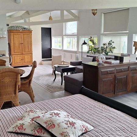 Gastenverblijf Blankenhuispad Wilp-Achterhoek Room photo